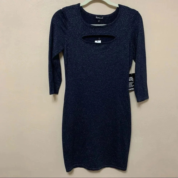 Express Dress - Picture 4 of 7